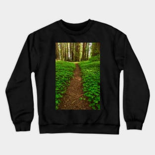 Redwood Forest Path Crewneck Sweatshirt